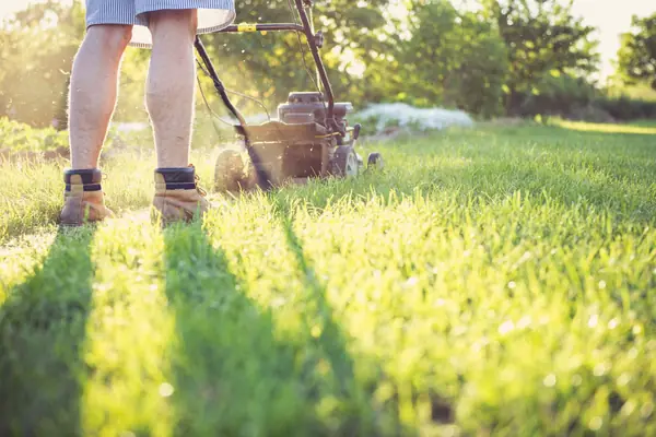 Lawn being mowed in late-afternoon light